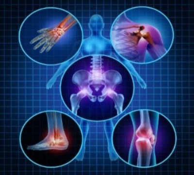 Talleres monográficos sobre prevención de lesiones: Articulación de la rodilla @ Tigers Running Club | Madrid | Comunidad de Madrid | España
