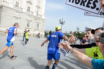 Maraton de madrid 2018