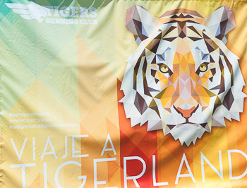 Tigerland 2017