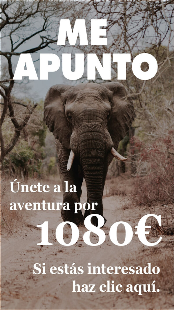 Banner apuntarse a kenia