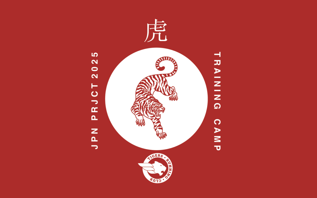 Nos vamos a Japón – Parte III