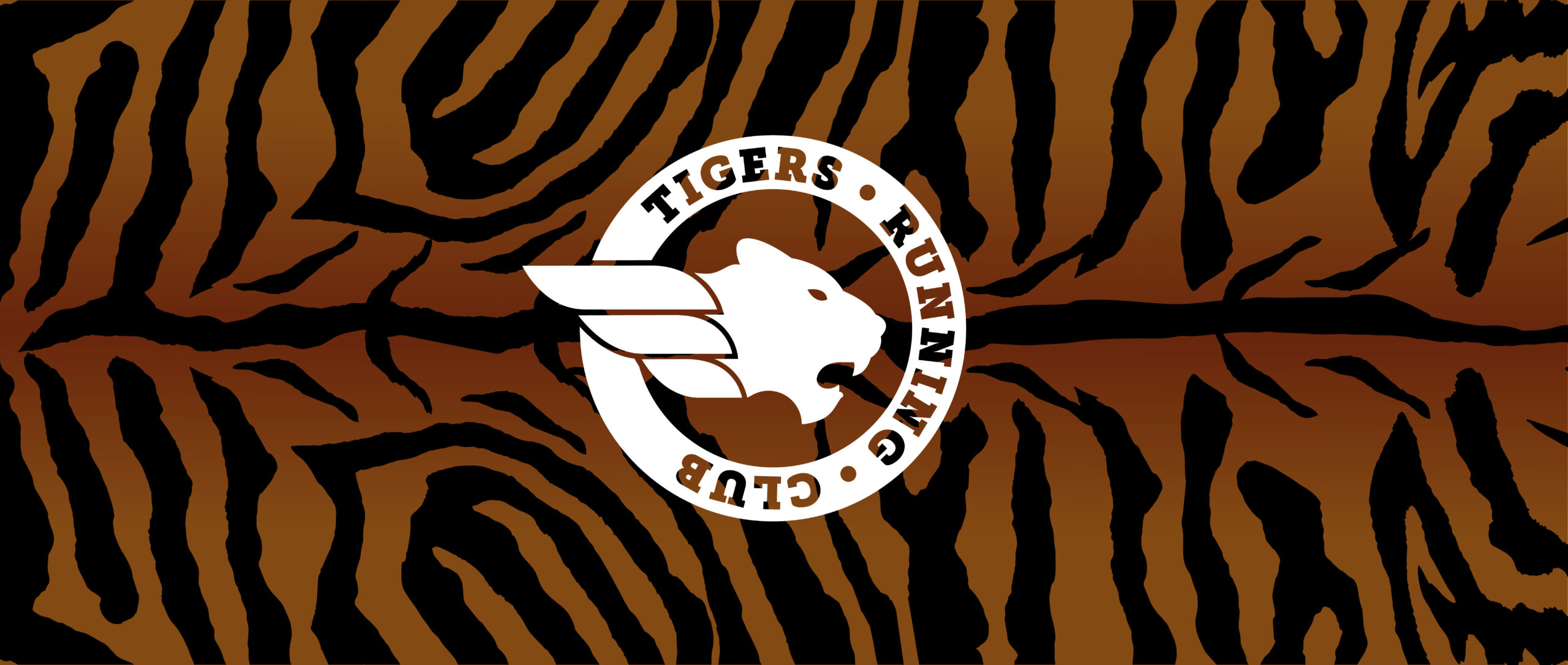 CAMISETA TIGERS 10 AÑOS CUMPLIENDO SUEÑOS